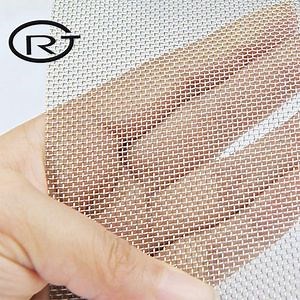 [Hot Item] Stainless Steel Security Screen Mesh Woven Wire Net for Window & Door
