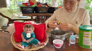52K views · 2.2K reactions | Titas Sit Like APRO Wait Mom Boiled Potatoes Mash Milk Recipes #monkey | Tv Show | Facebook