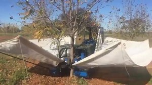 This tree shaker can pick fruit in seconds. | Insider