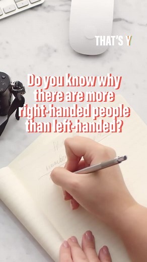 Why are there more right-handed people than left-handed? Here's what research says 🤔 Original video by TheConversation.fr #LeftHanded #RightHanded #Prehistory #Psychology #Research | That's Y