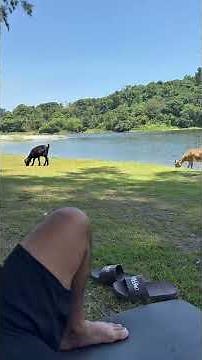 📍Mapanuepe Lake ❤️ #Camping #Mapanuepe #Zambales #Nature #Relax #Raize