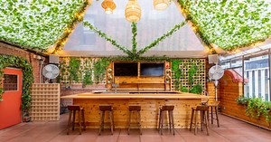 Sushi Lab in NYC Is Trendy and Delicious: Photos and Details