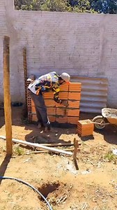 #javali #cac #controlelegalizado #pedreiro #constru | Brutos Do Java