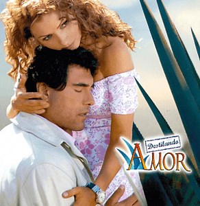 Capitulo 11 de Destilando Amor