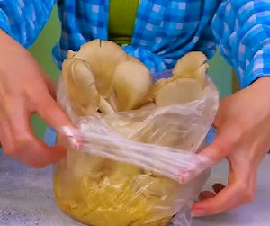 62K views · 463 reactions | Como cultivar cogumelos em casa! | Ideias Incríveis | Facebook