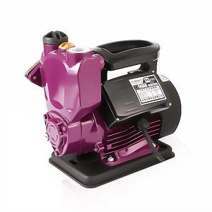 [Hot Item] Home Water Pressure Electric Automatic Booster Pump