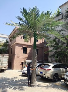 [Hot Item] Indoor Outdoor Ornamental Big Artificial Royal Palm Tree Fiberglass for Garden Playground