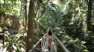Ready to be suspended 30 metres above sub-tropical rainforest? Explore the natural surrounds of the Tamborine Rainforest Skywalk. 🍃 🎥 Mariella Luisa | Experience Gold Coast
