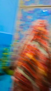 10K views · 264 reactions | Bhole rom rom re.... | poojakumariaps1222 | Facebook