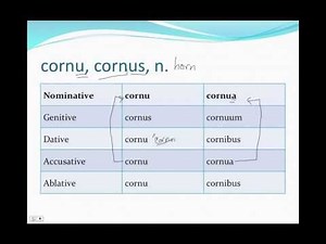 Fourth Declension