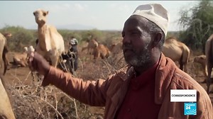 3.5K views · 109 reactions | 拏 #Kenya's camel milk industry is warming up. The dairy product has long been popular with communities in neighbouring Somalia but people in #Nairobi and further afield are increasingly wetting their whistle. #Camels are a safe bet as they keep producing the vitamin C-rich #milk even after periods of drought. Tour the world with #Correspondence's full show ⤵️ https://f24.my/7Pc0.f | FRANCE 24 English | Facebook