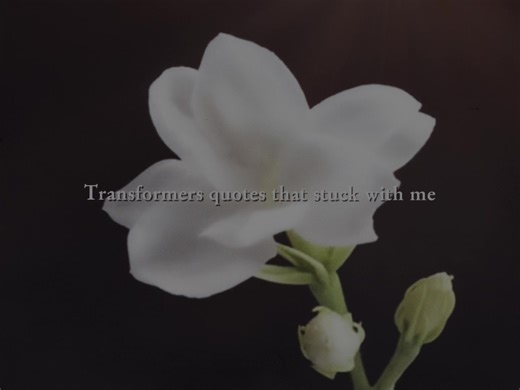 My Love for Transformers: A Passionate Discussion