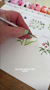 Watercolour florals 101: tulip ‘flaming spring green’ 💐