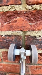 1.5K views | ‍ | Dee Wallace | Facebook