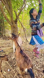 Mera bakri monitor ❤️ #reels | Pinki Maai