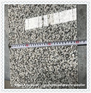 [Hot Item] Polished Grey/White Granite Stone Tile for Wall Paving