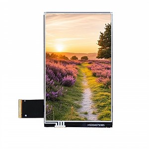 [Hot Item] 480X800 3.97-Inch TFT Display Panel, Standard Type Display Module