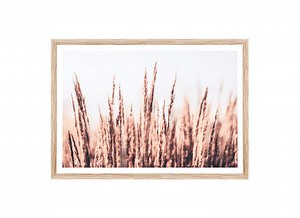 Pampas Grass Printable Photography, Beige Neutral, Pampas Poster, Neutral Wall Decor, Beige Aesthetic, Feather Reed Grass, Beige Wall Art - Etsy Canada