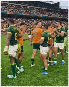 Springboks on Reels