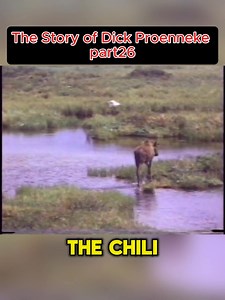 Dick Proenneke 1968. #dickproenneke #aloneinthewilderness #wilderness #cabin #nature #1960s | Ariadna Castilla vitromosaico