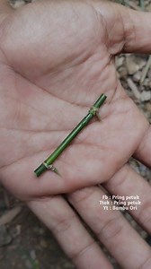 60K views · 82 reactions | Paling kecil di dunia!! Membuat bambu pethuk | Pring Petuk | Facebook