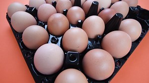 Box - Container Videos: Download 14+ Free 4K & HD Stock Footage Clips - Pixabay