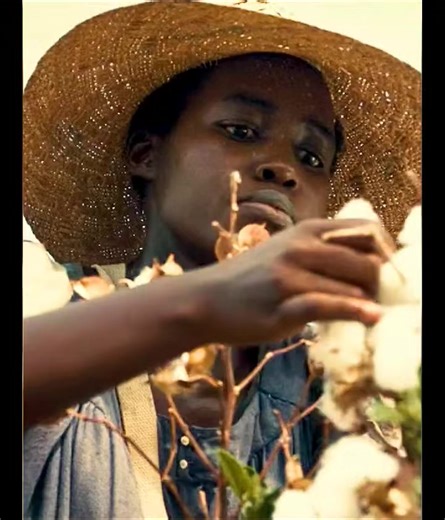 12 Years a Slave (2013) is a historical drama based on the true story of Solomon Northup, a free Black man from New York who is kidnapped and sold into slavery in the American South in the 1840s. Torn from his family and stripped of his identity, Solomon endures years of brutal treatment under various masters, including the sadistic plantation owner Edwin Epps. Despite unimaginable suffering, he clings to his dignity and hope for freedom. His life changes when he meets a sympathetic abolitionist