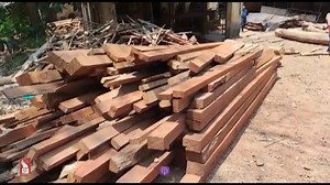 WAR OF WOODS: CANACONA POLITICS HEATS UP | Prudent Media