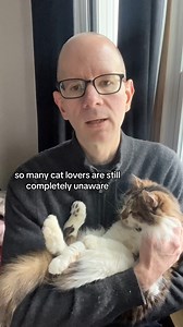 10K views · 530 reactions | Many cat lovers are still unaware that...