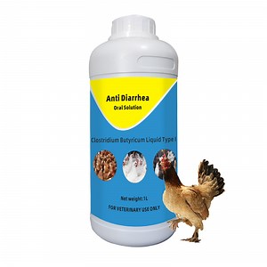 [Hot Item] Anti Diarrhea Oral Solution for Bacterial Intestinal Disease Improve Feed Intake