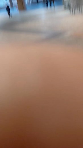 Something to crow about. Crow inside Castro Valley Station | Angie Rachel Shipp | Facebook