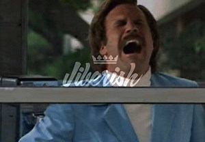 Black Friday and Cyber Monday coming in hot. Our bargain bin with over 40 products and progressive sale begins 12am Friday MST. We will be offering 50% everything in store Friday through the weekend as well. Happy turkey day 🦃 | Jiberish