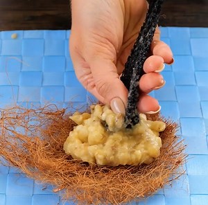 16K views · 19 reactions | Des astuces étonnantes que vous pouvez essayer pour votre jardin et votre potager ! | Brico Famille | Facebook