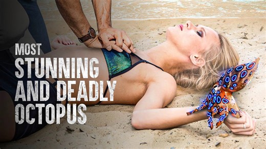 What Happens If You’re Bitten by a Blue-Ringed Octopus