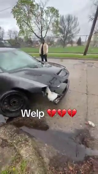 They stripped her whip down to the gristle