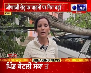 Solan Weather: सोलन में बारिश, तूफान और ओलावृष्टि का असर | India News Himachal Pradesh #solan #solanweather #mausambigda #weatherupdate #indianews #indianewshimachalpradesh #breakingnews | India News Himachal