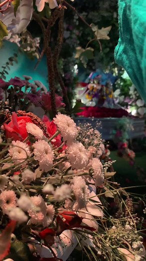 Kkrishna is everything 🫶🏽💕 | Bihar