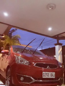 Carwash using Dog shampoo with my assistant, my dog Ragnar😍 | KW Rentals