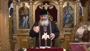 „Buna Vestire, cea mai veche sărbătoare a Maicii Domnului.” Calistrat Chifan ❤️ | Părintele Calistrat