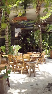 220 reactions | Embark on an extraordinary journey at Mayan Monkey Isla Mujeres! ️ | Mayan Monkey Hotels | Facebook