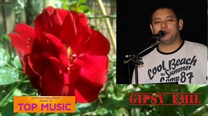 10K views · 230 reactions | Gipsy Emil (Odkanastar romňa iľom). ❤️ | Top Roma Hudba | Facebook