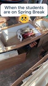 16 reactions | When our Boatbuilding & Restoration, Composites Technology and Digital Modeling & Fabrication students are all on Spring Break  But we are glad they're getting a well earned vacation! #IYRS #School #SpringBreak #Newport #RhodeIsland #VocationalSchool #TechSchool #Education | IYRS School of Technology & Trades | Facebook