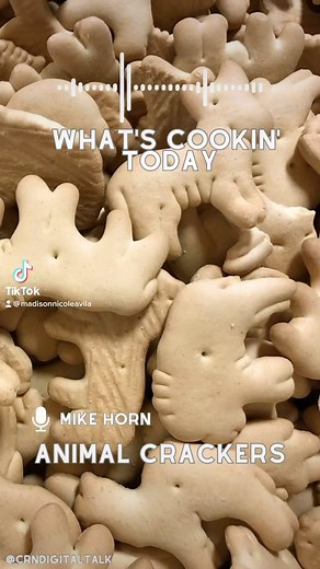 Animals crackers in my SOUP🥴 the question remains… frosted or unfrosted??? | CRN Talk
