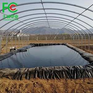 [Hot Item] 0.75 0.5mm Fish Ponds Farm Liner Geomembrane HDPE Liner