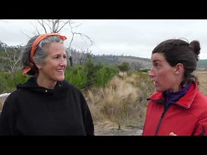 Being a field naturalist