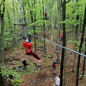This N.J. treetop adventure course has over 30 ziplines and 19 obstacles to tackle! 😮 Who’s ready to take on this challenge? | NJ.com