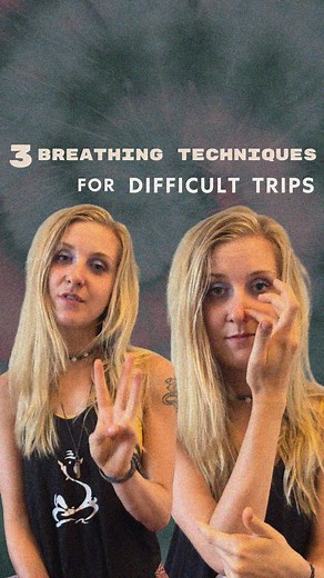 The Psychedelic Society on Reels