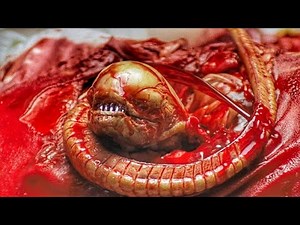 Alien Chestburster Scene 4K ULTRA HD - Aliens Vs Predator / Noyze Boy