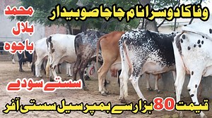 69K views · 2.4K reactions | Farming And Business Ideas on Reels | Facebook