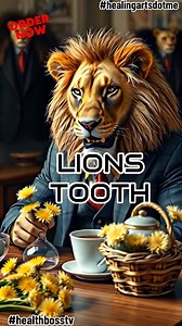 Get Dandelion Root Powder here! Benefits: Liver • Detoxification • Iron • Immune Booster • Antioxidants • Inflammation • Cholesterol • Blood Pressure • Constipation • Digestive Health • Blood Sugar • Lowers Uric Acid • Kidney Function #HealthBossTV #HealingArts #HealingArtsApothecary #Healingartsme #Healthbosstv #BeYourOwnHealthBoss #health #Dandelion #Liver | Healing Arts